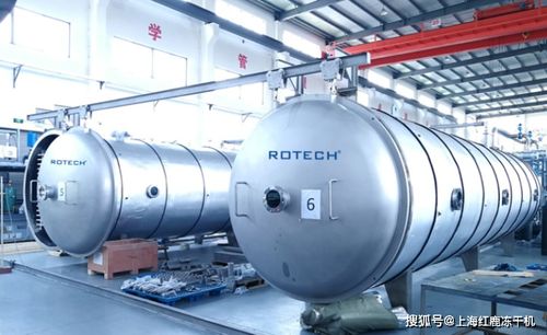 制药型与食品级冻干机及储气装置的技术区别与应用考量